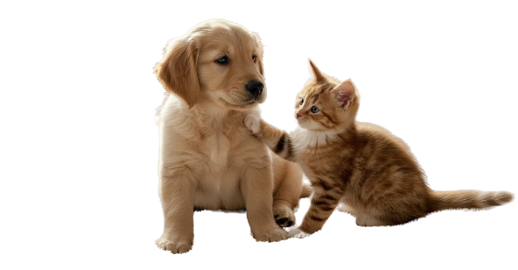 freepik__background__80023